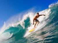 开云体育下载-塞内加尔鏖战美国，孔德统治全场，非洲雄狮的战术交响曲