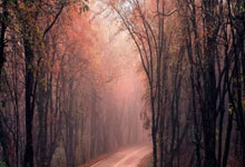 开云体育下载-英国射击选手稳定发挥，成功晋级半决赛