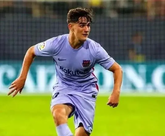 切尔西翻盘克罗地亚，加维高光表现的简单介绍